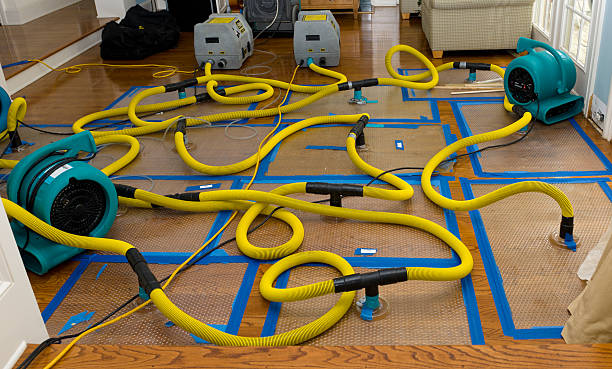 Professional Flood Damage Restoration technician working in Hobson, TX